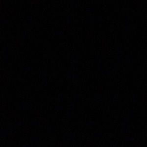 Meet your Posher, Dylan